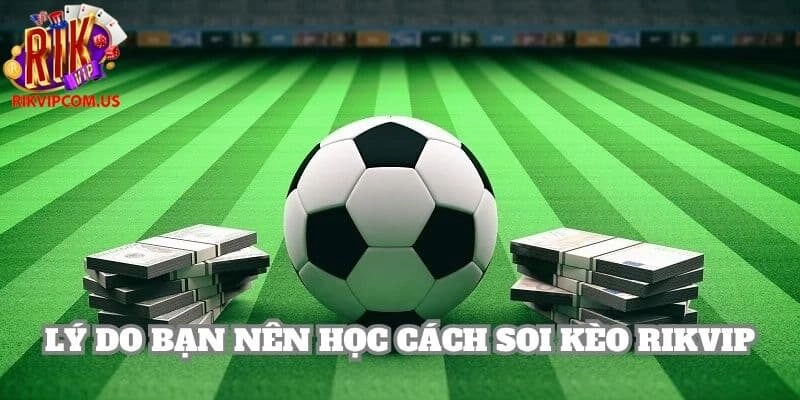 Chơi cá độ có chiến thuật là phương pháp đầu tư có tính toán