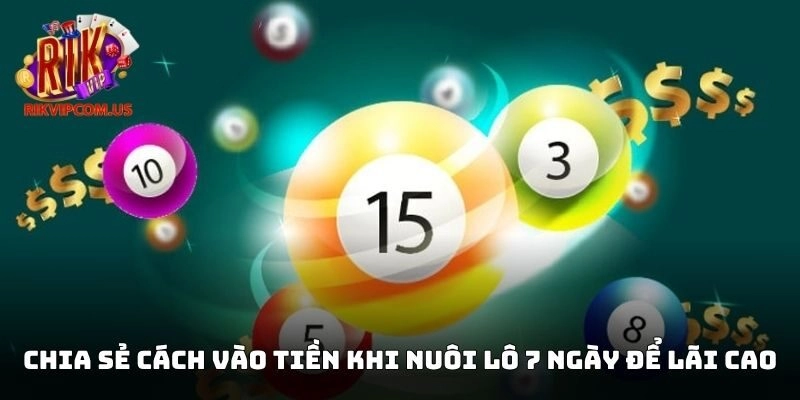 Chia sẻ cách vào tiền khi nuôi lô 7 ngày để lãi cao