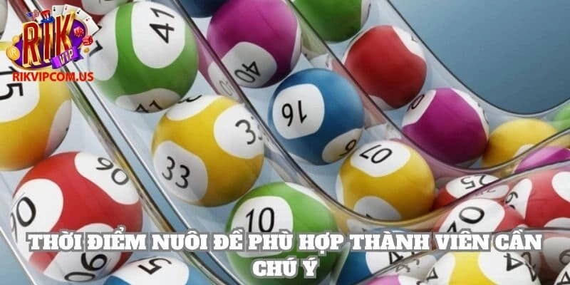 Thời điểm nuôi để hiệu quả giúp thành viên nâng cao tỷ lệ thắng