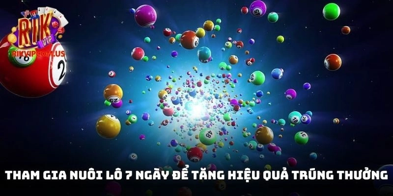 Tham gia nuôi lô 7 ngày để tăng hiệu quả trúng thưởng