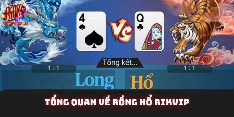 Tổng quan về Rồng hổ Rikvip